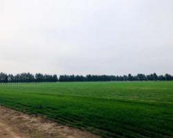 Ofrecidos Sin datos  ofrecidos